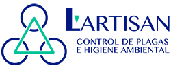 tratamiento de plagas en la madera | Control de Plagas