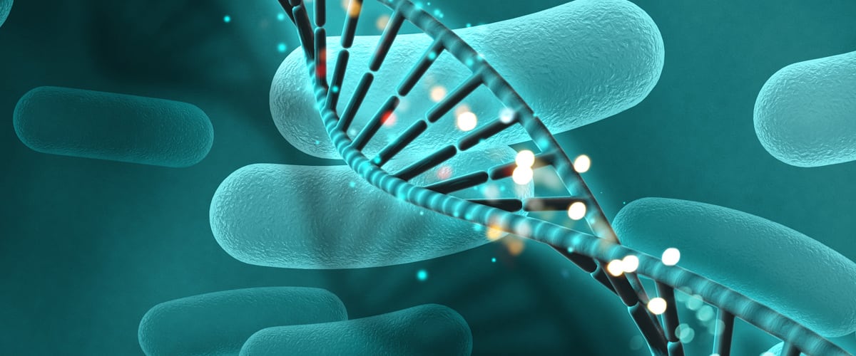 desinfección legionella Mallorca | Control de Plagas