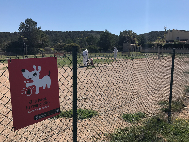 empresa de desinsectación en Mallorca | Control de Plagas