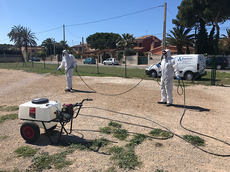 empresa de desinsectación en Mallorca | Control de Plagas