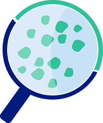tratamientos preventivos de plagas | Control de Plagas
