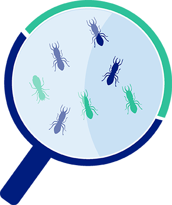 tratamientos preventivos de plagas | Control de Plagas